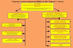 Структура и органы управления МБДОУ